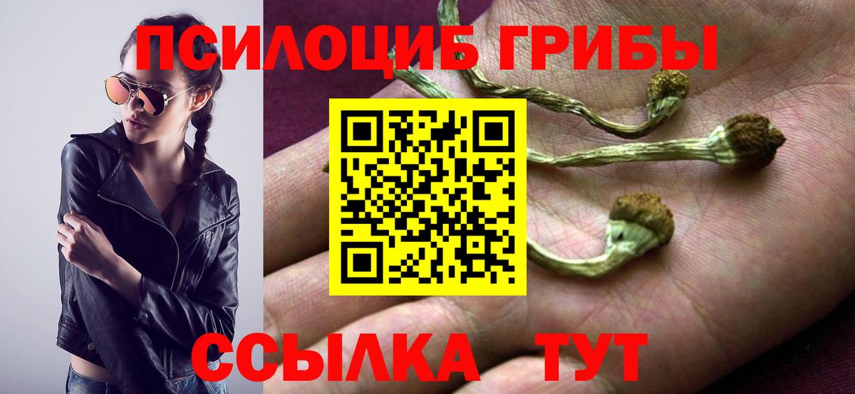где можно купить наркотик  Вход с VPN  Урус-Мартан  Галлюциногенные грибы MAGIC MUSHROOMS 